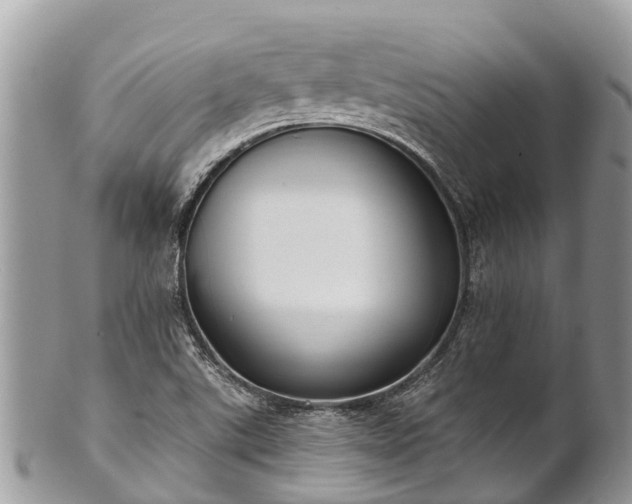 X0000101181507200807071233
