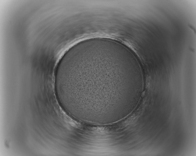 X0000101181508200807071233
