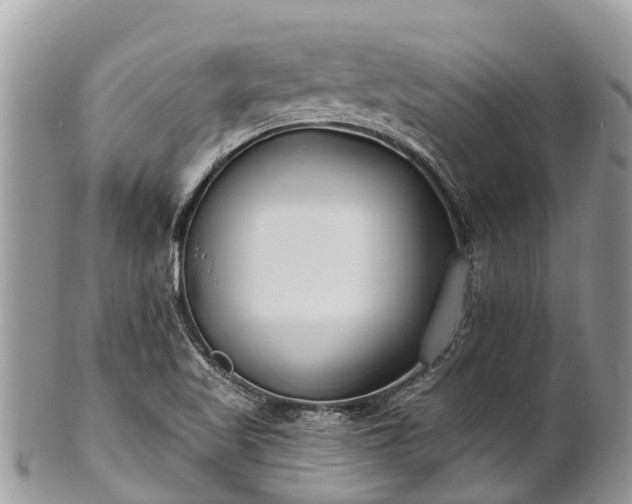 X0000101181509200807071233
