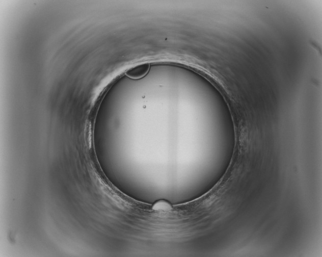 X0000101181510200807071233