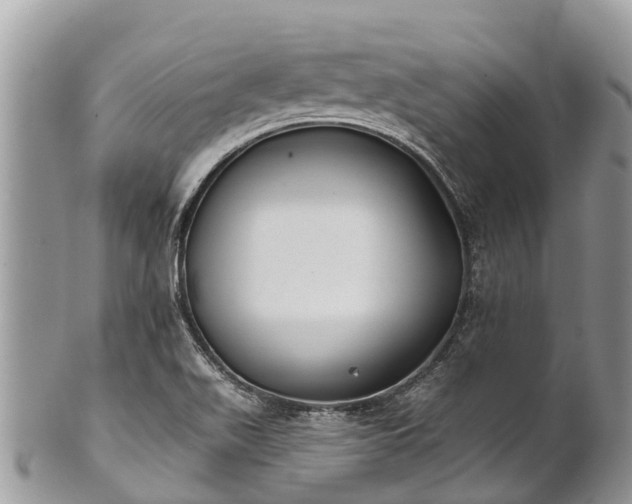 X0000101181511200807071233