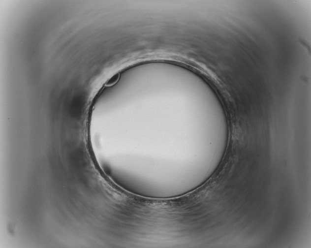 X0000101181512200807071233