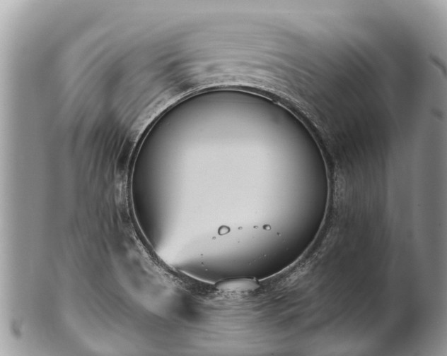 X0000101181513200807071233