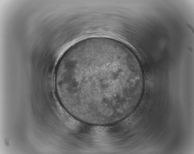 X0000101181514200807071233