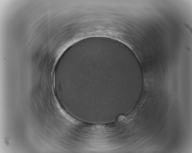 X0000101181515200807071233