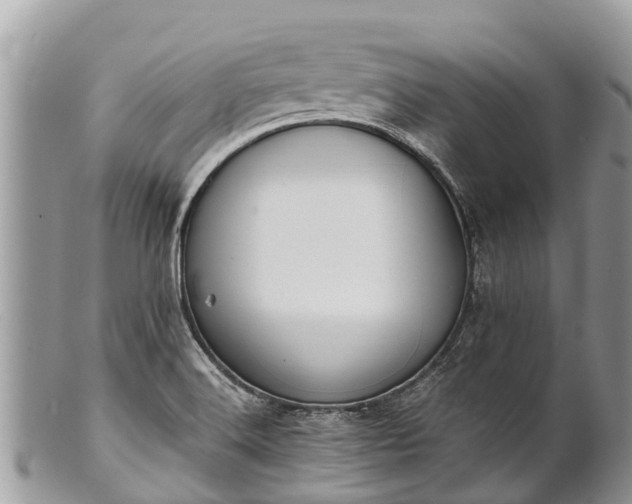 X0000101181516200807071233