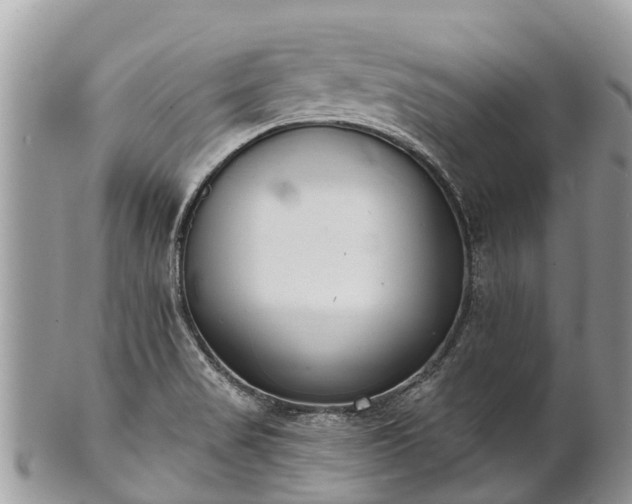X0000101181517200807071233
