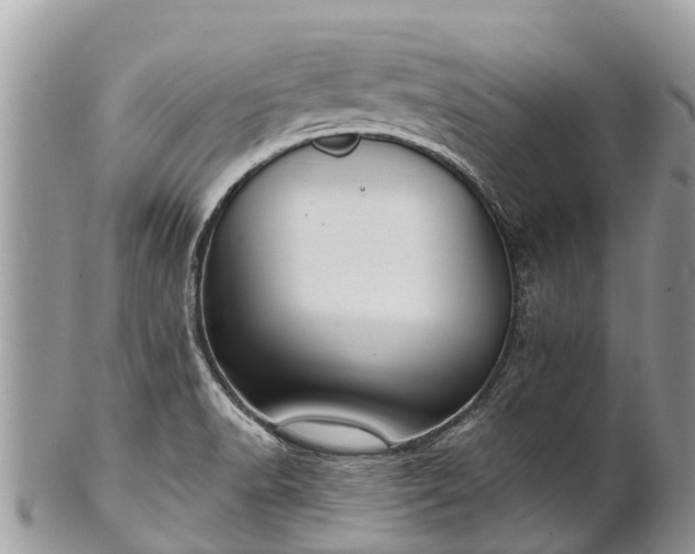 X0000101181518200807071233