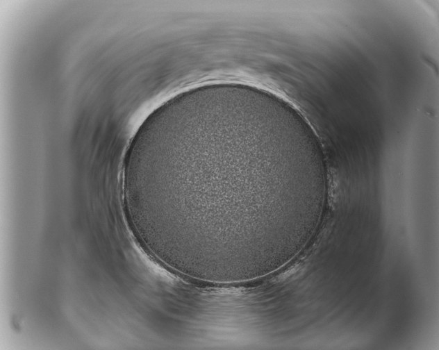 X0000101181519200807071233
