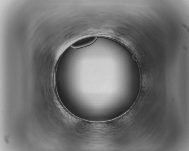 X0000101181520200807071233