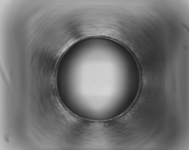 X0000101181521200807071233