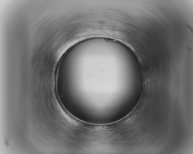 X0000101181523200807071233