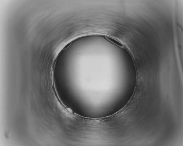 X0000101181524200807071233