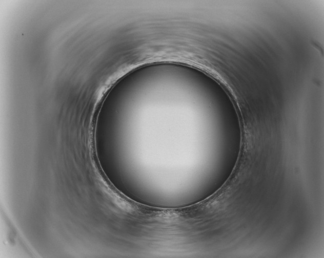 X0000101181525200807071233