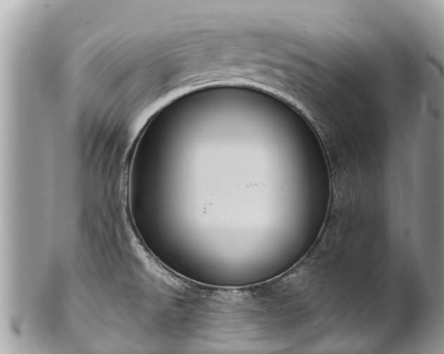 X0000101181526200807071233