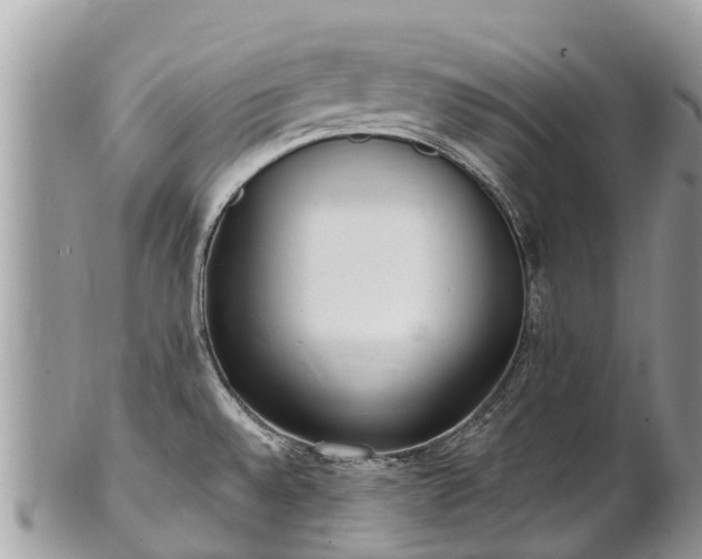 X0000101181528200807071233