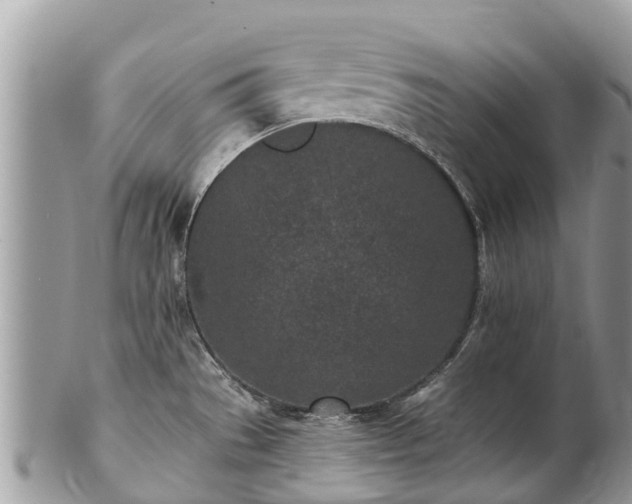 X0000101181529200807071233