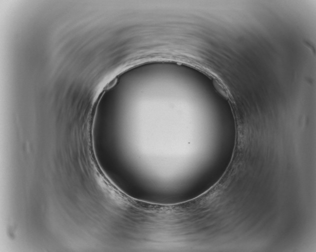 X0000101181530200807071233