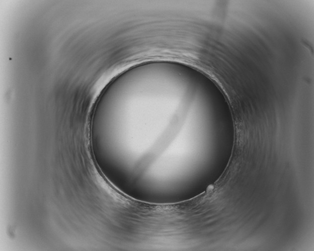 X0000101181531200807071233