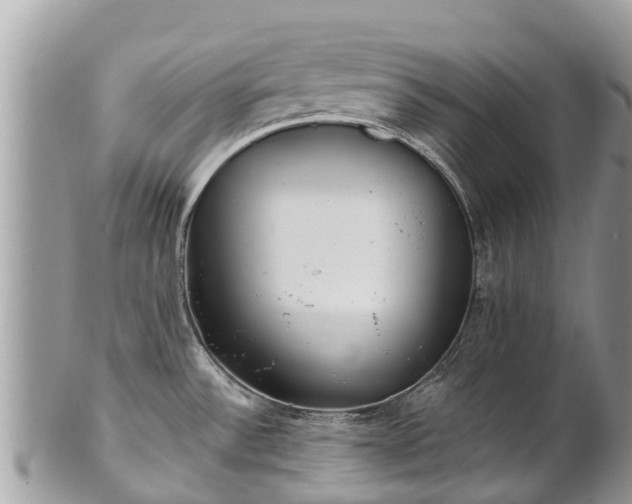 X0000101181532200807071233