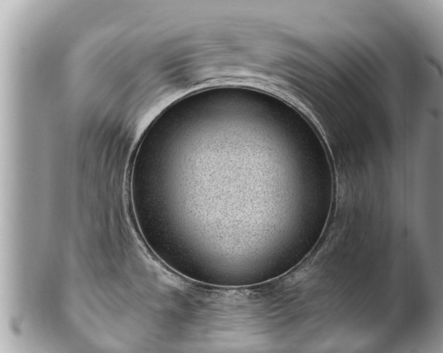 X0000101181533200807071233