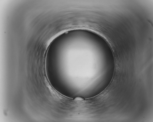 X0000101181534200807071233