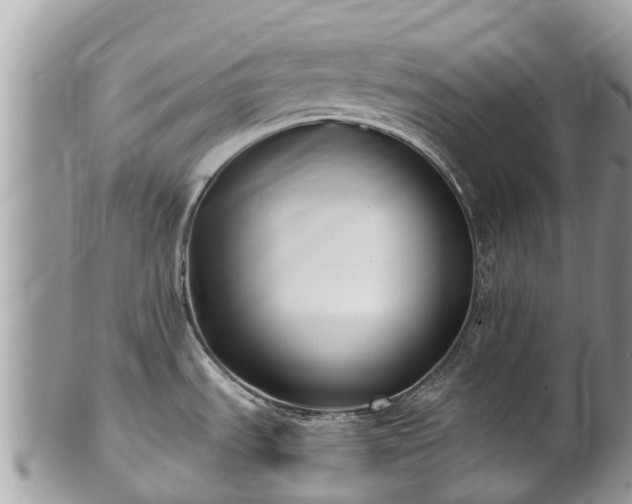 X0000101181535200807071233
