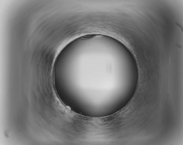 X0000101181536200807071233