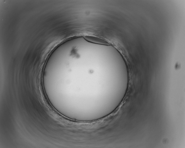 X0000101180001200807111126