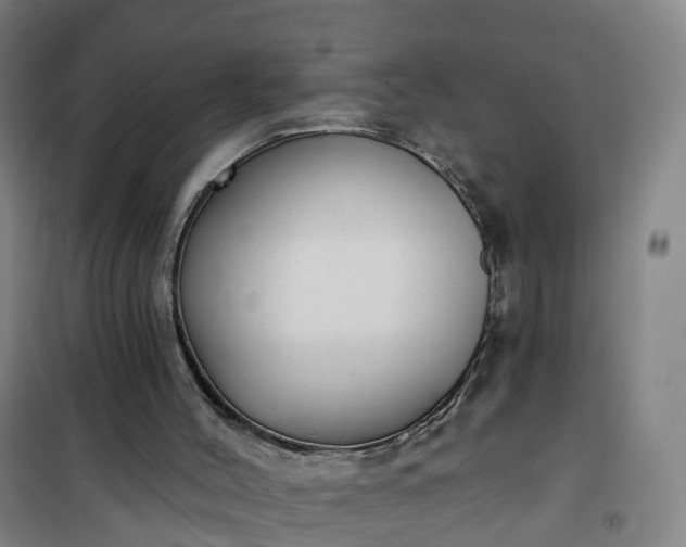 X0000101180004200807111126