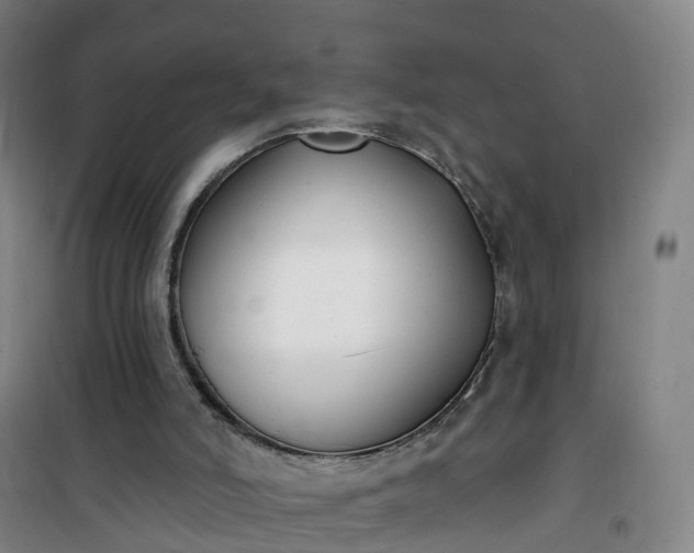 X0000101180006200807111126