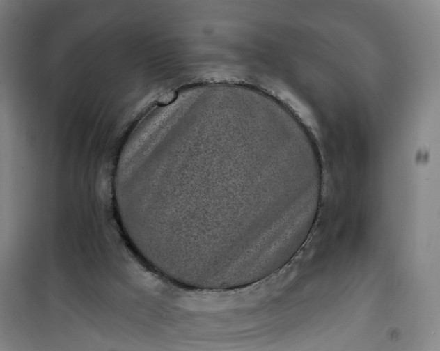 X0000101180009200807111126