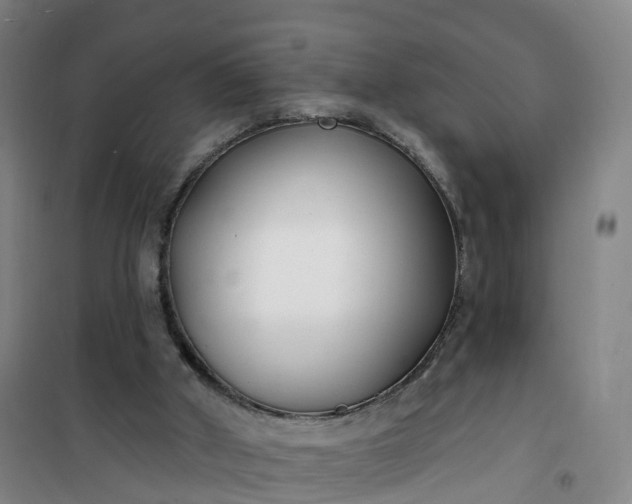 X0000101180010200807111126