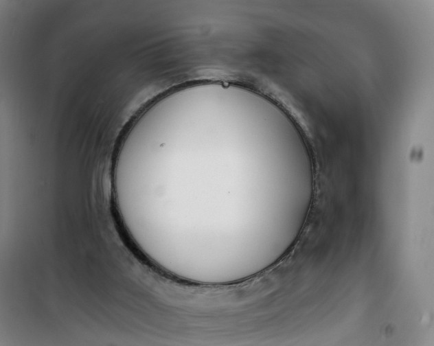 X0000101180011200807111126