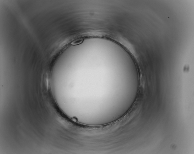 X0000101180013200807111126