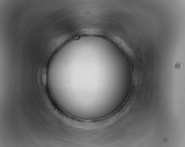 X0000101180014200807111126