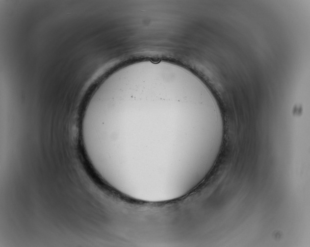 X0000101180016200807111126