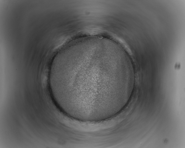 X0000101180018200807111126