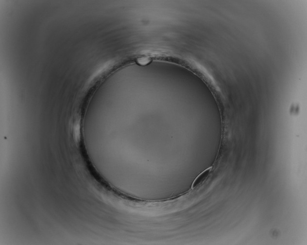 X0000101180019200807111126