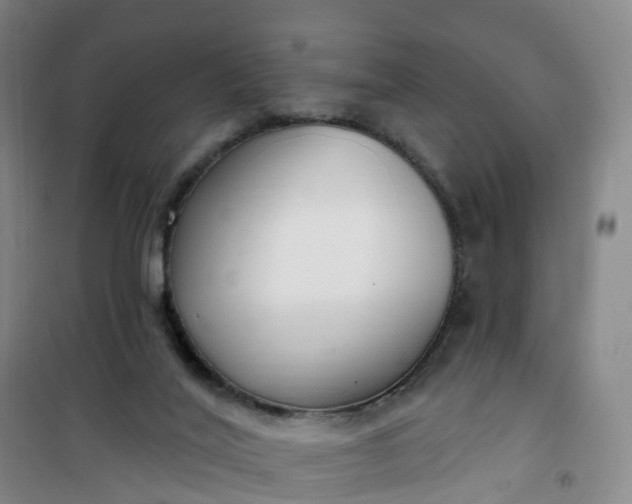 X0000101180020200807111126