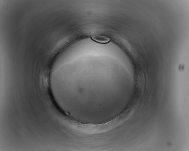 X0000101180023200807111126