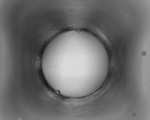 X0000101180025200807111126