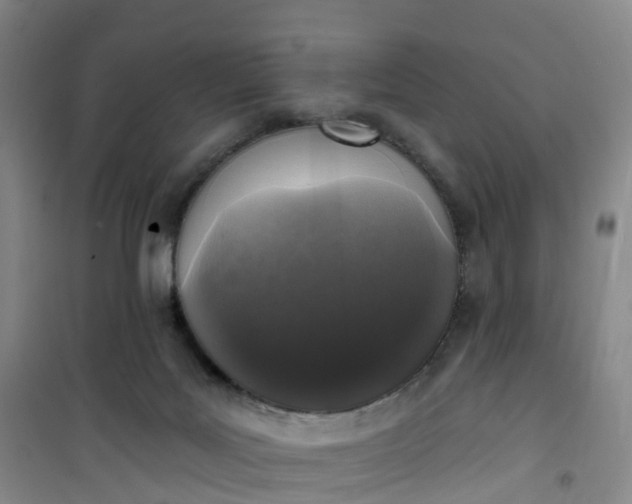 X0000101180027200807111126