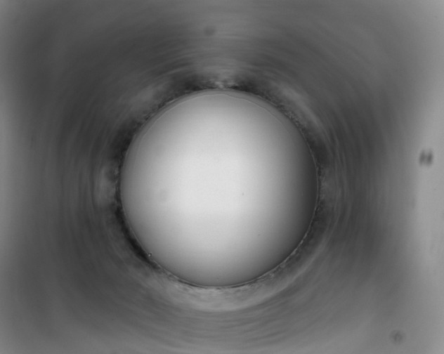 X0000101180030200807111126