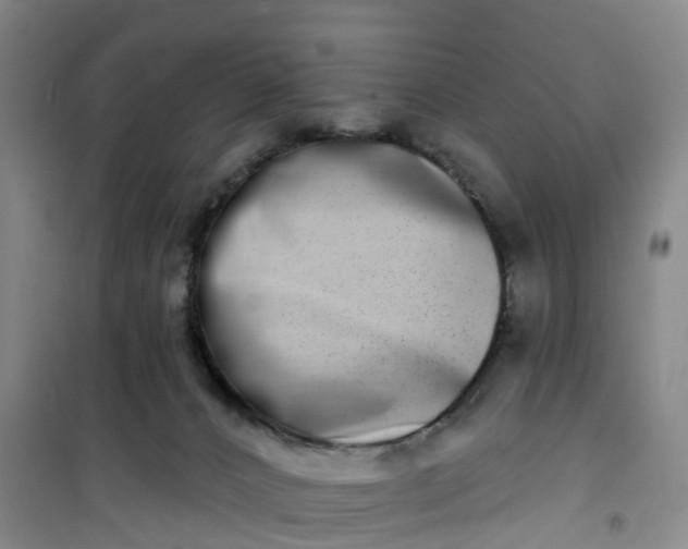 X0000101180032200807111126