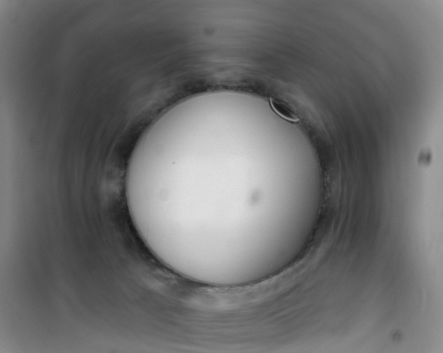 X0000101180033200807111126