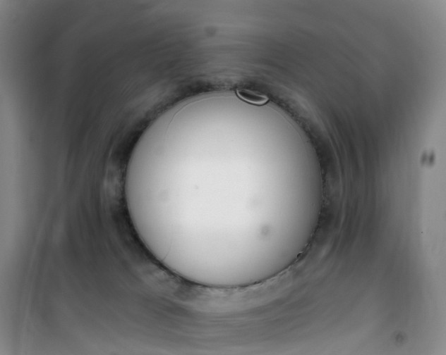 X0000101180037200807111125