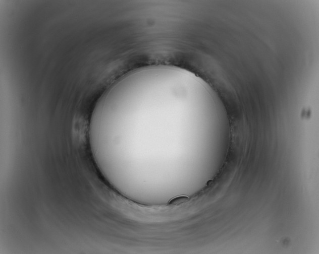 X0000101180038200807111125