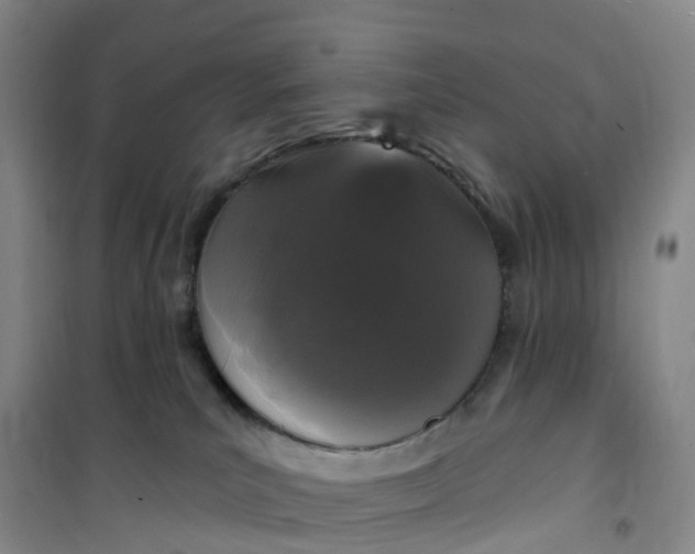 X0000101180039200807111125