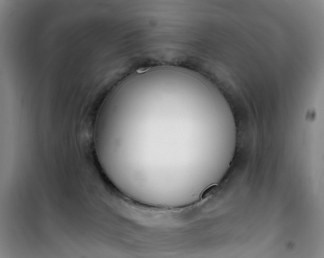 X0000101180040200807111125